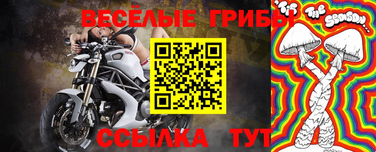 Псилоцибиновые грибы мухоморы Тобольск